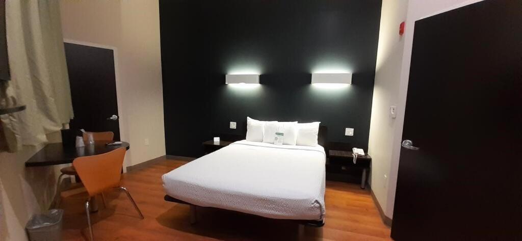 Queen Room,1356943217:JPEG